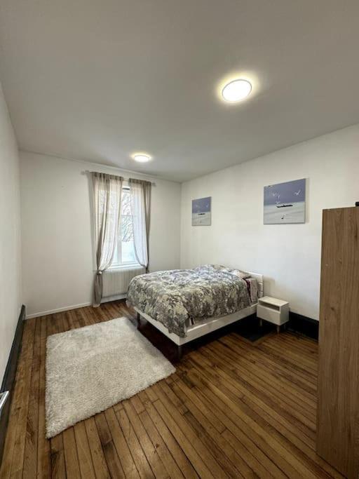 L Appart A La Gare Apartment น็องซี ภายนอก รูปภาพ